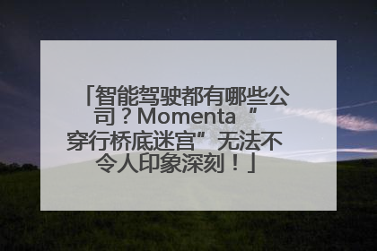 智能驾驶都有哪些公司？Momenta“穿行桥底迷宫”无法不令人印象深刻！