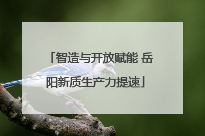 智造与开放赋能 岳阳新质生产力提速
