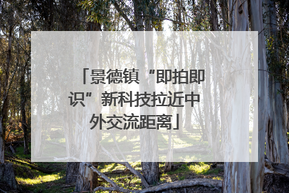 景德镇“即拍即识”新科技拉近中外交流距离