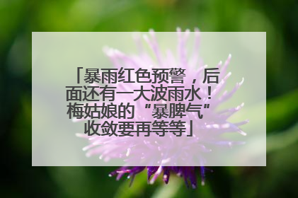 暴雨红色预警，后面还有一大波雨水！梅姑娘的“暴脾气”收敛要再等等