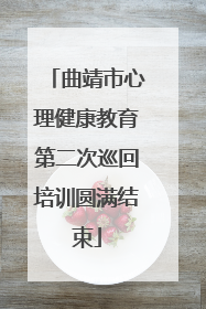 曲靖市心理健康教育第二次巡回培训圆满结束
