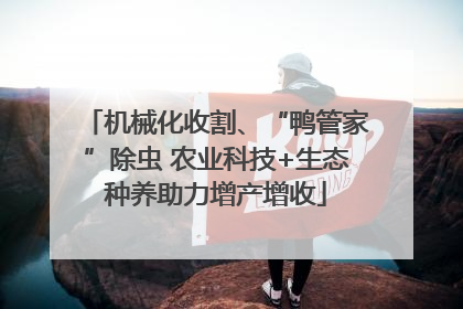 机械化收割、“鸭管家”除虫 农业科技+生态种养助力增产增收