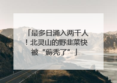 最多日涌入两千人！北灵山的野韭菜快被“薅秃了”