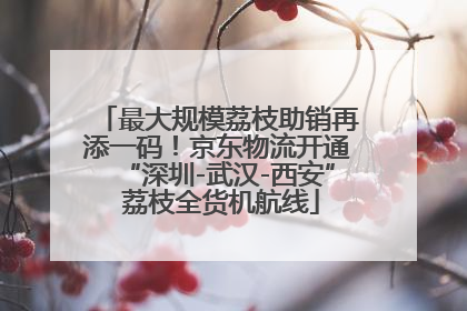 最大规模荔枝助销再添一码！京东物流开通“深圳-武汉-西安” 荔枝全货机航线