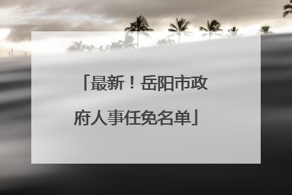 最新！岳阳市政府人事任免名单