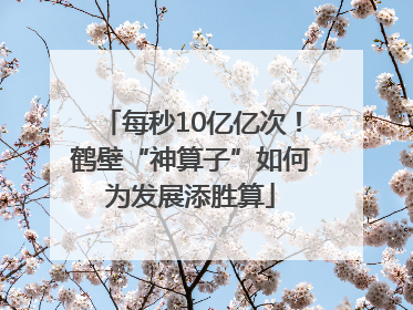 每秒10亿亿次！鹤壁“神算子”如何为发展添胜算