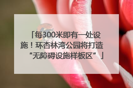 每300米即有一处设施！环杏林湾公园将打造“无障碍设施样板区”