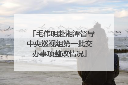 毛伟明赴湘潭督导中央巡视组第一批交办事项整改情况