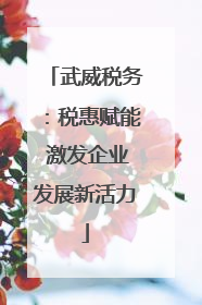 武威税务：税惠赋能 激发企业发展新活力