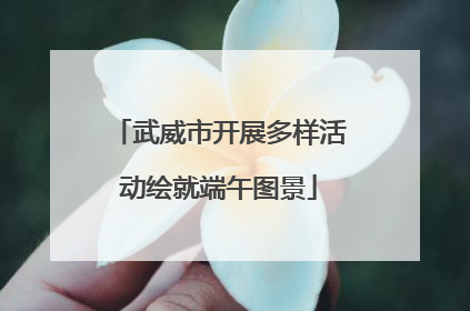 武威市开展多样活动绘就端午图景