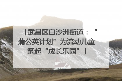 武昌区白沙洲街道：“蒲公英计划”为流动儿童筑起“成长乐园”