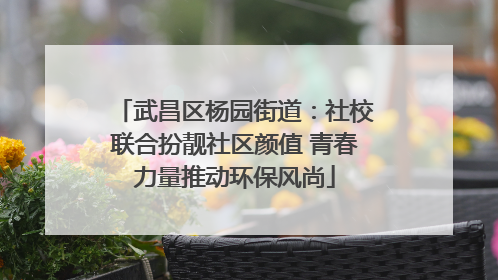武昌区杨园街道：社校联合扮靓社区颜值 青春力量推动环保风尚