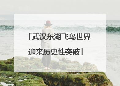 武汉东湖飞鸟世界迎来历史性突破