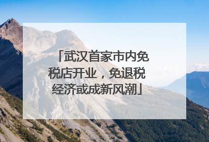武汉首家市内免税店开业，免退税经济或成新风潮