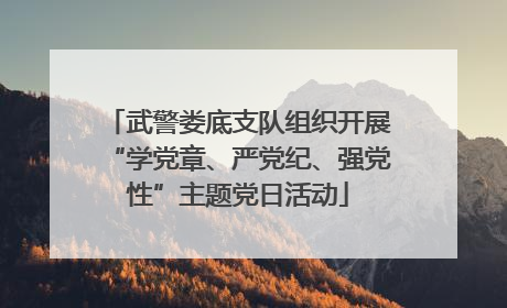 武警娄底支队组织开展“学党章、严党纪、强党性”主题党日活动