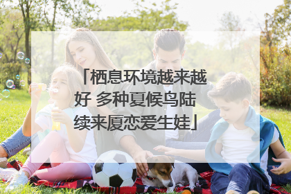 栖息环境越来越好 多种夏候鸟陆续来厦恋爱生娃