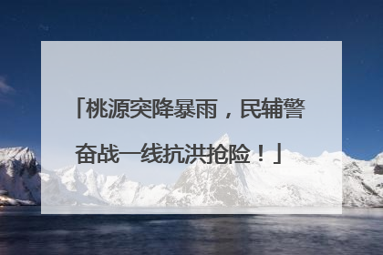 桃源突降暴雨，民辅警奋战一线抗洪抢险！