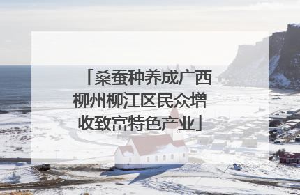 桑蚕种养成广西柳州柳江区民众增收致富特色产业