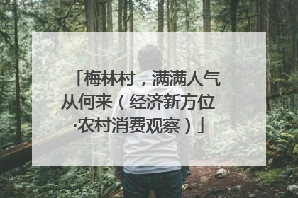 梅林村，满满人气从何来（经济新方位·农村消费观察）