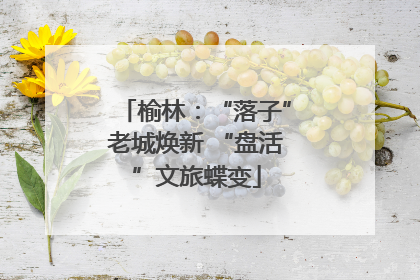 榆林：“落子”老城焕新 “盘活”文旅蝶变