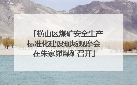 横山区煤矿安全生产标准化建设现场观摩会在朱家峁煤矿召开