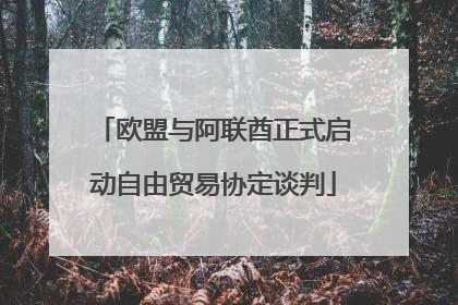 欧盟与阿联酋正式启动自由贸易协定谈判