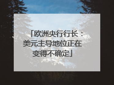 欧洲央行行长：美元主导地位正在变得不确定