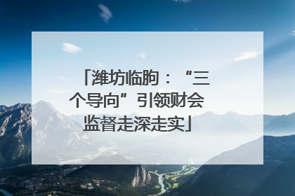 潍坊临朐：“三个导向”引领财会监督走深走实