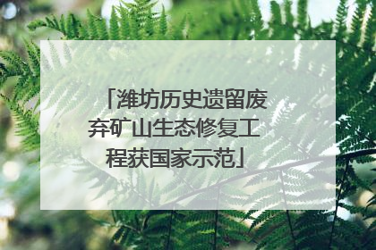 潍坊历史遗留废弃矿山生态修复工程获国家示范