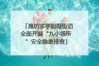 潍坊寒亭固堤街道全面开展“九小场所”安全隐患排查