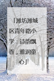 潍坊潍城区青年路小学：诗韵飘香，雅润童心
