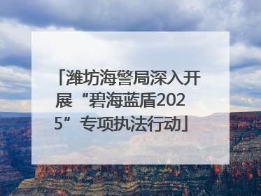 潍坊海警局深入开展“碧海蓝盾2025”专项执法行动