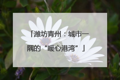 潍坊青州：城市一隅的“暖心港湾”