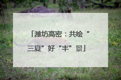 潍坊高密：共绘“三夏”好“丰”景