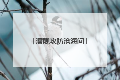 潜舰攻防沧海间