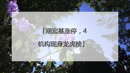 潮宏基涨停，4机构现身龙虎榜