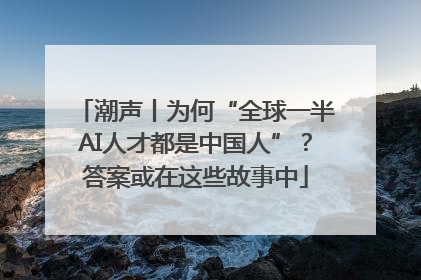 潮声丨为何“全球一半AI人才都是中国人”？答案或在这些故事中