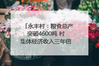 永丰村：粮食总产突破4600吨 村集体经济收入三年倍增｜牵挂的村