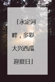 永定河畔，多彩大兴西瓜迎夏日