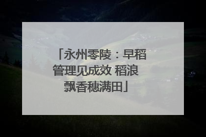永州零陵：早稻管理见成效 稻浪飘香穗满田