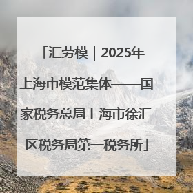 汇劳模｜2025年上海市模范集体——国家税务总局上海市徐汇区税务局第一税务所