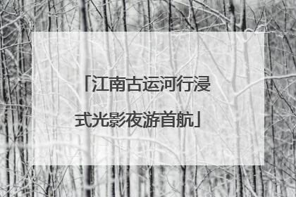 江南古运河行浸式光影夜游首航