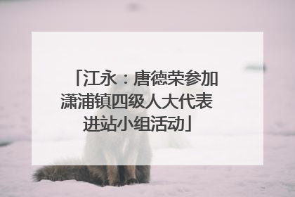 江永：唐德荣参加潇浦镇四级人大代表进站小组活动