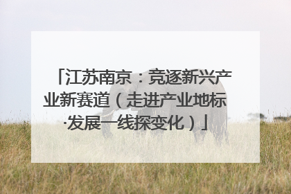江苏南京：竞逐新兴产业新赛道（走进产业地标·发展一线探变化）