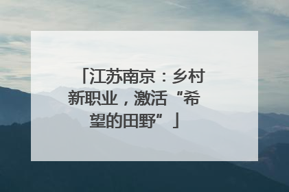 江苏南京：乡村新职业，激活“希望的田野”
