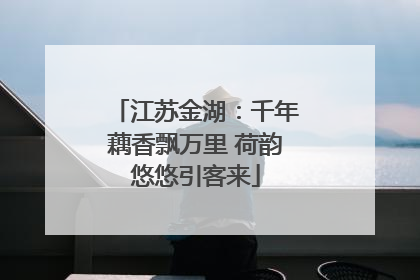 江苏金湖：千年藕香飘万里 荷韵悠悠引客来
