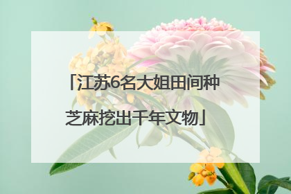 江苏6名大姐田间种芝麻挖出千年文物