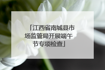 江西省南城县市场监管局开展端午节专项检查