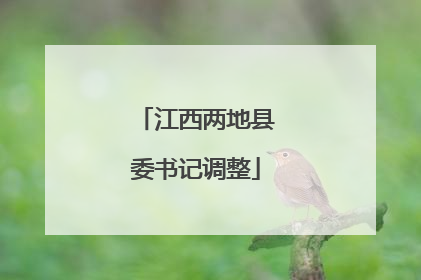 江西两地县委书记调整