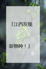 江西发现新物种！